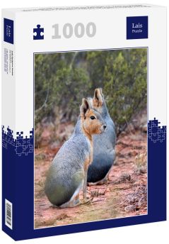 Lais Puzzle - Die Mara ist eine Nagetierart aus der Familie der Caviidae, die auch als patagonische Mara, patagonischer Hase und Hase bekannt ist, obwohl sie nicht zur Ordnung der echten Hasen gehört. - 1.000 Teile