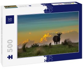 Lais Puzzle - Pampa-Landschaft, La Pampa, Argentinien - 500 Teile