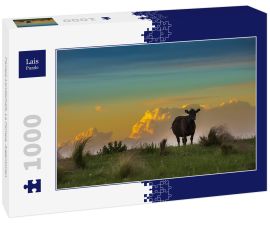 Lais Puzzle - Pampa-Landschaft, La Pampa, Argentinien - 1.000 Teile