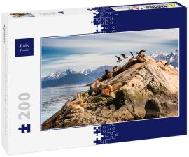 Lais Puzzle - Seelöwen und Albatrosse auf der Insel im Beagle-Kanal bei Ushuaia. Argentinien - 200 Teile