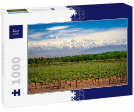 Lais Puzzle - Weinberg bei Mendoza - 1.000 Teile