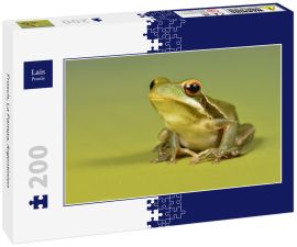 Lais Puzzle - Frosch, La Pampa, Argentinien - 200 Teile