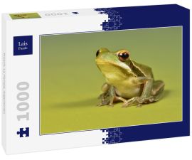 Lais Puzzle - Frosch, La Pampa, Argentinien - 1.000 Teile
