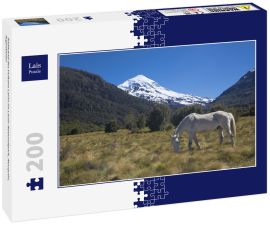 Lais Puzzle - Südwand des Vulkans Lanin im Lanin-Nationalpark, Neuquén, Argentinien - 200 Teile