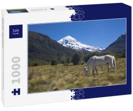 Lais Puzzle - Südwand des Vulkans Lanin im Lanin-Nationalpark, Neuquén, Argentinien - 1.000 Teile