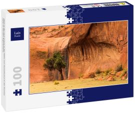 Lais Puzzle - Oase in der Inca Cueva in der Nähe von Humahuaca in der Provinz Jujuy im Norden Argentiniens. - 100 Teile