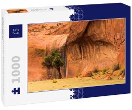 Lais Puzzle - Oase in Inca Cueva bei Humahuaca in der Provinz Jujuy, Nordargentinien - 1.000 Teile