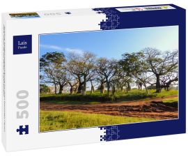 Lais Puzzle - Schöne Seidenraupenbäume im Juan Domingo Peron Park (Paso de los libres, Argentinien) - 500 Teile