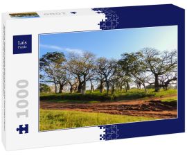 Lais Puzzle - Schöne Seidenraupenbäume im Juan Domingo Peron Park (Paso de los libres, Argentinien) - 1.000 Teile