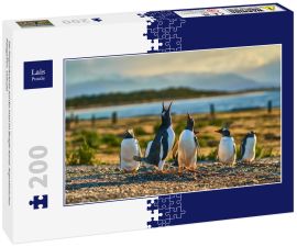 Lais Puzzle - Die Pinguinkolonie auf der Insel im Beagle-Kanal. Argentinisches Patagonien. Ushuaia - 200 Teile