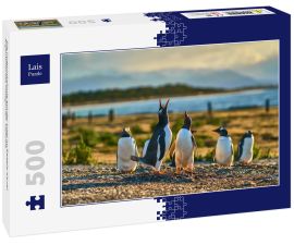 Lais Puzzle - Die Pinguinkolonie auf der Insel im Beagle-Kanal. Argentinisches Patagonien. Ushuaia - 500 Teile