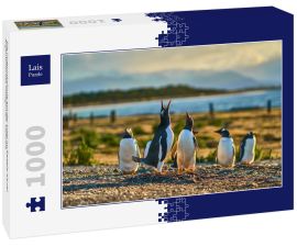 Lais Puzzle - Die Pinguinkolonie auf der Insel im Beagle-Kanal. Argentinisches Patagonien. Ushuaia - 1.000 Teile
