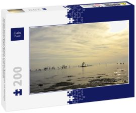 Lais Puzzle - Sonniger Nachmittag in Miramar, Cordoba, Argentinien, mit Flamingos und versteinerten kahlen Bäumen in der Landschaft - 200 Teile