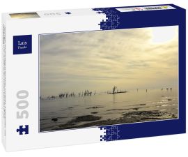 Lais Puzzle - Sonniger Nachmittag in Miramar, Cordoba, Argentinien, mit Flamingos und versteinerten kahlen Bäumen in der Landschaft - 500 Teile