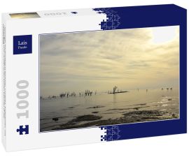Lais Puzzle - Sonniger Nachmittag in Miramar, Cordoba, Argentinien, mit Flamingos und versteinerten kahlen Bäumen in der Landschaft - 1.000 Teile