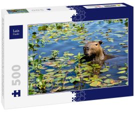 Lais Puzzle - Ein Wasserschwein streckt seinen Kopf aus dem mit Pflanzen bewachsenen Wasser des Ibera-Feuchtgebiets (Esteros del Ibera) in der Nähe des Dorfes Colonia Carlos Pellegrini in der Provinz Corrientes im Norden Argentiniens. - 500 Teile