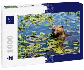 Lais Puzzle - Ein Wasserschwein streckt seinen Kopf aus dem mit Pflanzen bewachsenen Wasser des Ibera-Feuchtgebiets (Esteros del Ibera) in der Nähe des Dorfes Colonia Carlos Pellegrini in der Provinz Corrientes im Norden Argentiniens. - 1.000 Teile