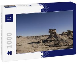 Lais Puzzle - Landschaft im Tal des Mondes, San Juan, Argentinien. - 1.000 Teile