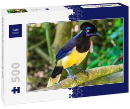 Lais Puzzle - Gemeine Elster, Cyanocorax Chrysops, ursprünglich aus dem Iguazu-Gebiet und den Esteros del Iberá - 500 Teile
