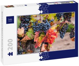 Lais Puzzle - Weintrauben am Rebstock in Mendoza Argentinien - 200 Teile