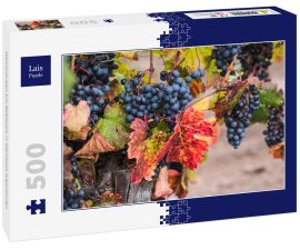 Lais Puzzle - Weintrauben am Rebstock in Mendoza Argentinien - 500 Teile