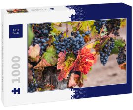 Lais Puzzle - Weintrauben am Rebstock in Mendoza Argentinien - 1.000 Teile