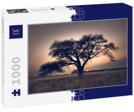 Lais Puzzle - Pampa-Landschaft, einsamer Baum, La Pampa, Argentinien - 1.000 Teile