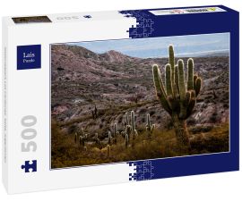 Lais Puzzle - Nationalpark Los Cardones, Salta, Argentinien - 500 Teile