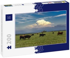 Lais Puzzle - Ländliche Landschaft mit grasenden Kühen, La Pampa, Argentinien - 200 Teile
