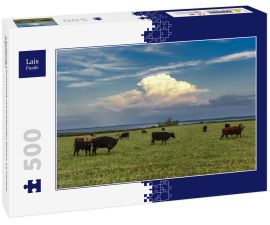 Lais Puzzle - Ländliche Landschaft mit grasenden Kühen, La Pampa, Argentinien - 500 Teile