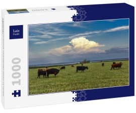 Lais Puzzle - Ländliche Landschaft mit grasenden Kühen, La Pampa, Argentinien - 1.000 Teile
