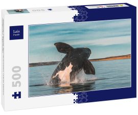 Lais Puzzle - Südlicher Glattwal, Sprungverhalten, Puerto Madryn, Patagonien, Argentinien - 500 Teile