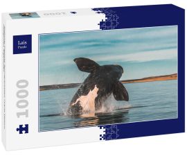 Lais Puzzle - Südlicher Glattwal, Sprungverhalten, Puerto Madryn, Patagonien, Argentinien - 1.000 Teile