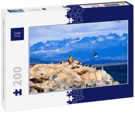 Lais Puzzle - Pinguine und Seelöwen in Tierra del Fuego Ushuaia Argentinien - 200 Teile