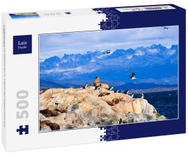 Lais Puzzle - Pinguine und Seelöwen in Tierra del Fuego Ushuaia Argentinien - 500 Teile
