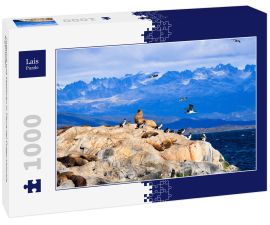 Lais Puzzle - Pinguine und Seelöwen in Tierra del Fuego Ushuaia Argentinien - 1.000 Teile