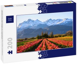 Lais Puzzle - Ansicht eines Tulpenfeldes vor schneebedeckten Anden und klarem Himmel in Trevelin, Patagonien, Argentinien - 200 Teile