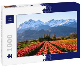 Lais Puzzle - Ansicht eines Tulpenfeldes vor schneebedeckten Anden und klarem Himmel in Trevelin, Patagonien, Argentinien - 1.000 Teile
