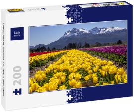Lais Puzzle - Tulpenfeld in Trevelin, Chubut, Argentinien - 200 Teile