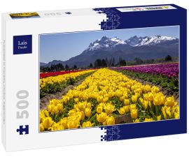 Lais Puzzle - Tulpenfeld in Trevelin, Chubut, Argentinien - 500 Teile