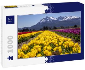 Lais Puzzle - Tulpenfeld in Trevelin, Chubut, Argentinien - 1.000 Teile