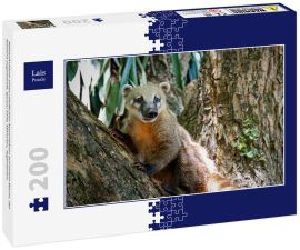 Lais Puzzle - Nahaufnahme eines niedlichen Nasenbären auf einem Baum, der Kamera zugewandt, Iguazu Falls, Misiones, Argentinien. - 200 Teile