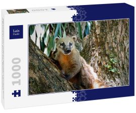 Lais Puzzle - Nahaufnahme eines niedlichen Nasenbären auf einem Baum, in Richtung Kamera, Iguazu Falls, Misiones, Argentinien - 1.000 Teile
