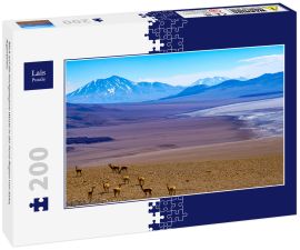 Lais Puzzle - Blick auf die hochgelegene Wüste in der Puna-Region von Salta, Argentinien. - 200 Teile