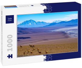 Lais Puzzle - Blick auf die hochgelegene Wüste in der Puna-Region von Salta, Argentinien. - 1.000 Teile
