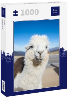 Lais Puzzle - Lama in Nahaufnahme in den Höhenlagen von Tucumán, Argentinien - 1.000 Teile