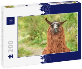 Lais Puzzle - Blick auf ein Lama in Merlo, in der Provinz San Luis, Argentinien - 200 Teile