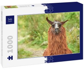 Lais Puzzle - Blick auf ein Lama in Merlo, in der Provinz San Luis, Argentinien - 1.000 Teile