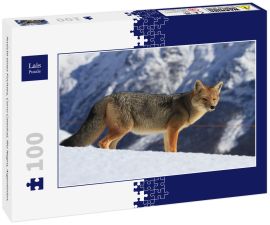 Lais Puzzle - Ansicht eines Fuchses, Cerro Catedral, Rio Negro, Argentinien. - 100 Teile