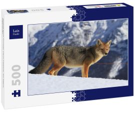 Lais Puzzle - Ansicht eines Fuchses, Cerro Catedral, Rio Negro, Argentinien - 500 Teile